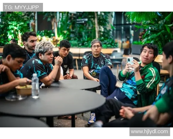 DOTA2战队LNG的团队配合与战术分析探讨