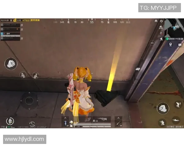 与黄芳畅谈和平精英职业生涯的成长与挑战