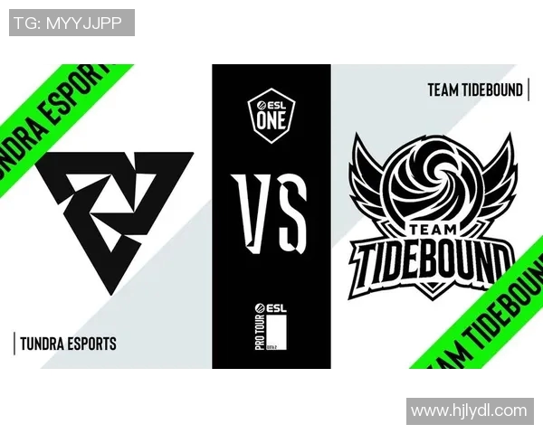 esports数据DOTA2专题深入解析V5战队的技术策略与战术创新